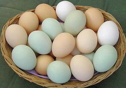 Яйца и жирная пища как средство от похмелья